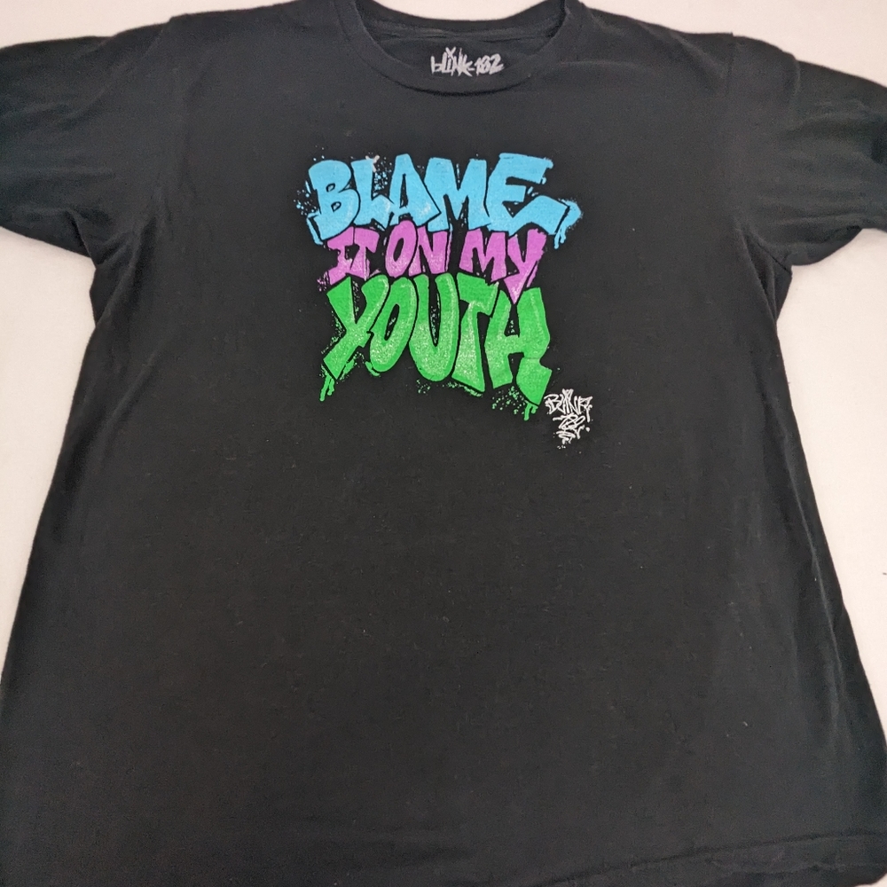 Blink 182 (BL01)Blame It On My Youth Concert Tee Large